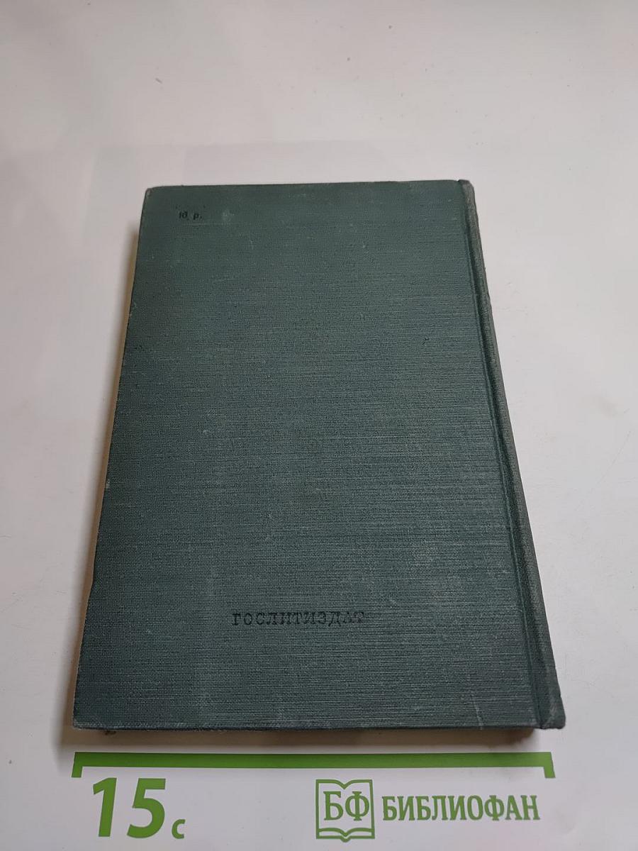 Полное собрание сочинений. Том XIII. Художественные произведения. Критика. Дневники. Словарь. 1843–1886