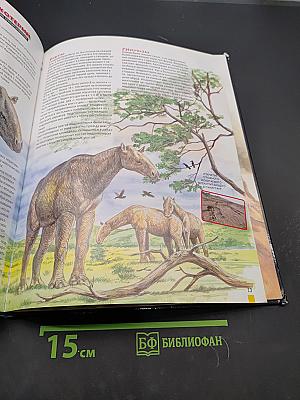 Мамонт & Ко. На разных континентах