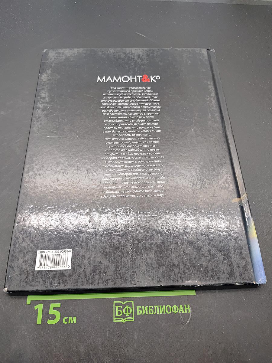 Мамонт & Ко. На разных континентах