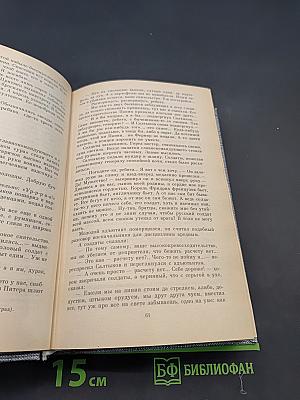 Емельян Пугачев. Историческое повествование. Книга первая