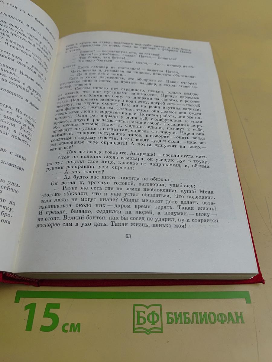 Мать. Дело Артамоновых