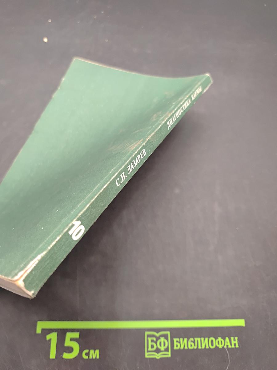 Диагностика кармы (Книга десятая). Продолжение диалога