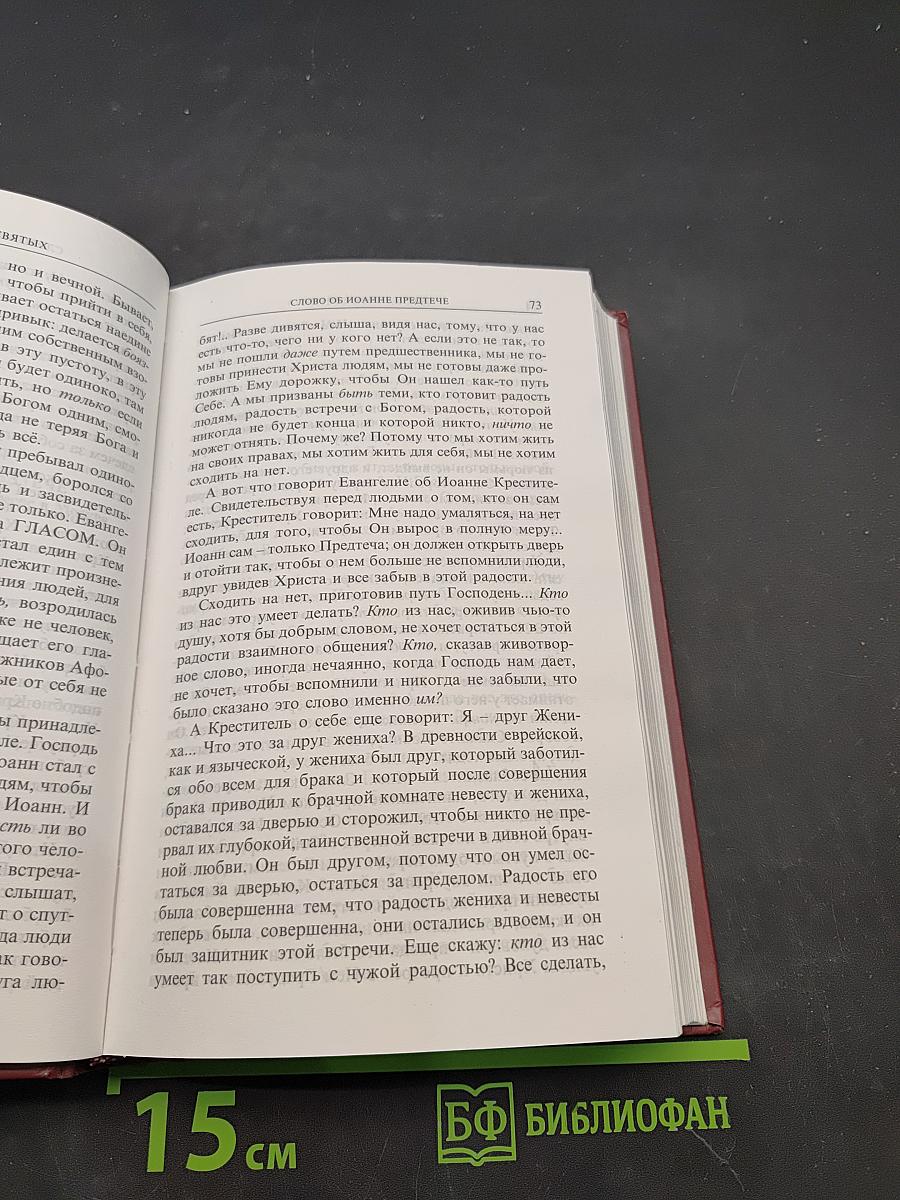 Во имя Отца и Сына и Святого Духа. Проповеди