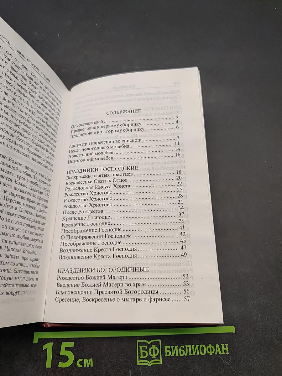 Во имя Отца и Сына и Святого Духа. Проповеди