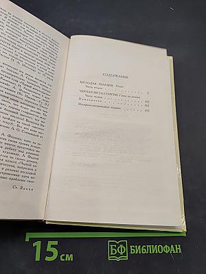 Собрание сочинений в четырех томах. Том 4