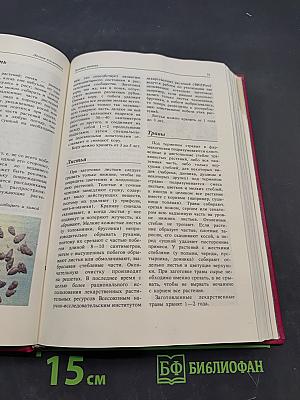 Лесная косметика