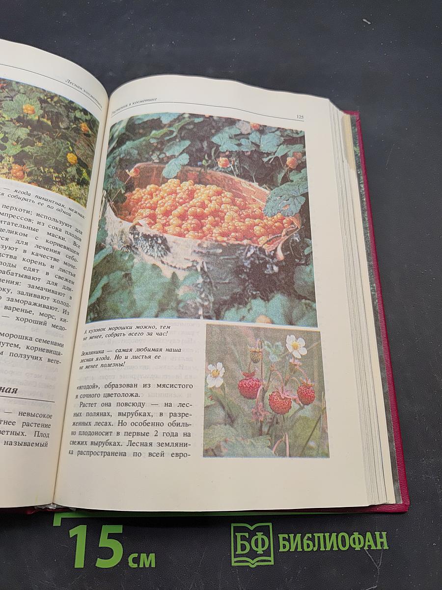 Лесная косметика
