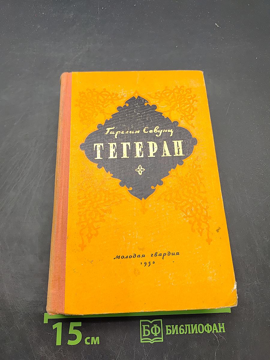 Тегеран. Роман. Книга первая. Иранская ночь
