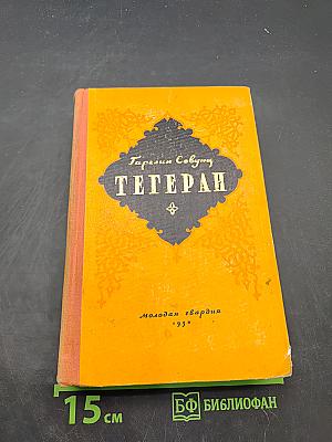 Тегеран. Роман. Книга первая. Иранская ночь