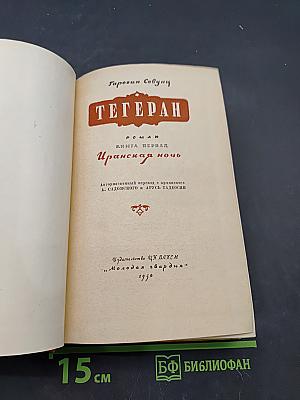 Тегеран. Роман. Книга первая. Иранская ночь