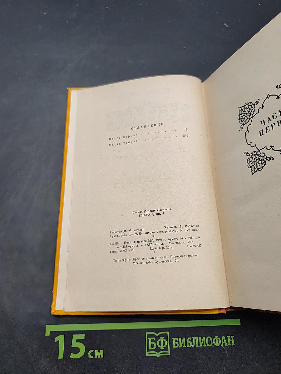 Тегеран. Роман. Книга первая. Иранская ночь