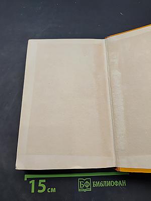 Тегеран. Роман. Книга первая. Иранская ночь