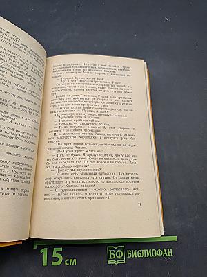 Тегеран. Роман. Книга первая. Иранская ночь