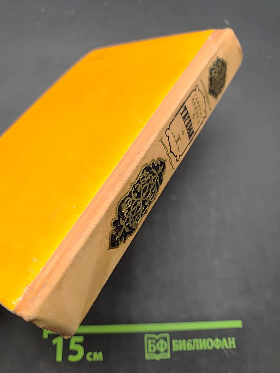 Тегеран. Роман. Книга первая. Иранская ночь