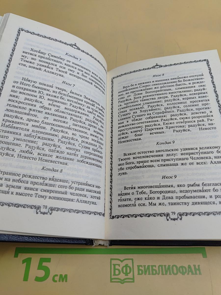 Православный молитвослов. Наставления для подготовки к исповеди