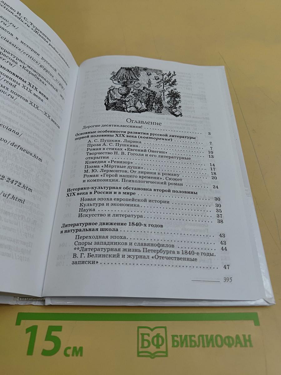 Литература. 10 класс. Углубленный уровень. В двух частях. Часть 1