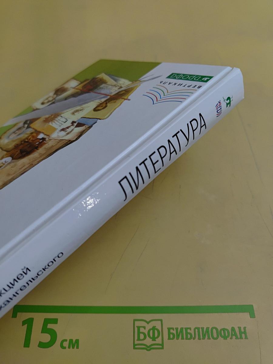 Литература. 10 класс. Углубленный уровень. В двух частях. Часть 1