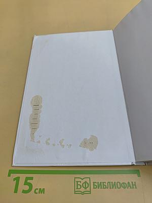 Аудит. Учебник