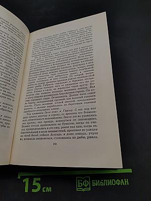 Еврей Зюсс. Собрание сочинений. Том второй