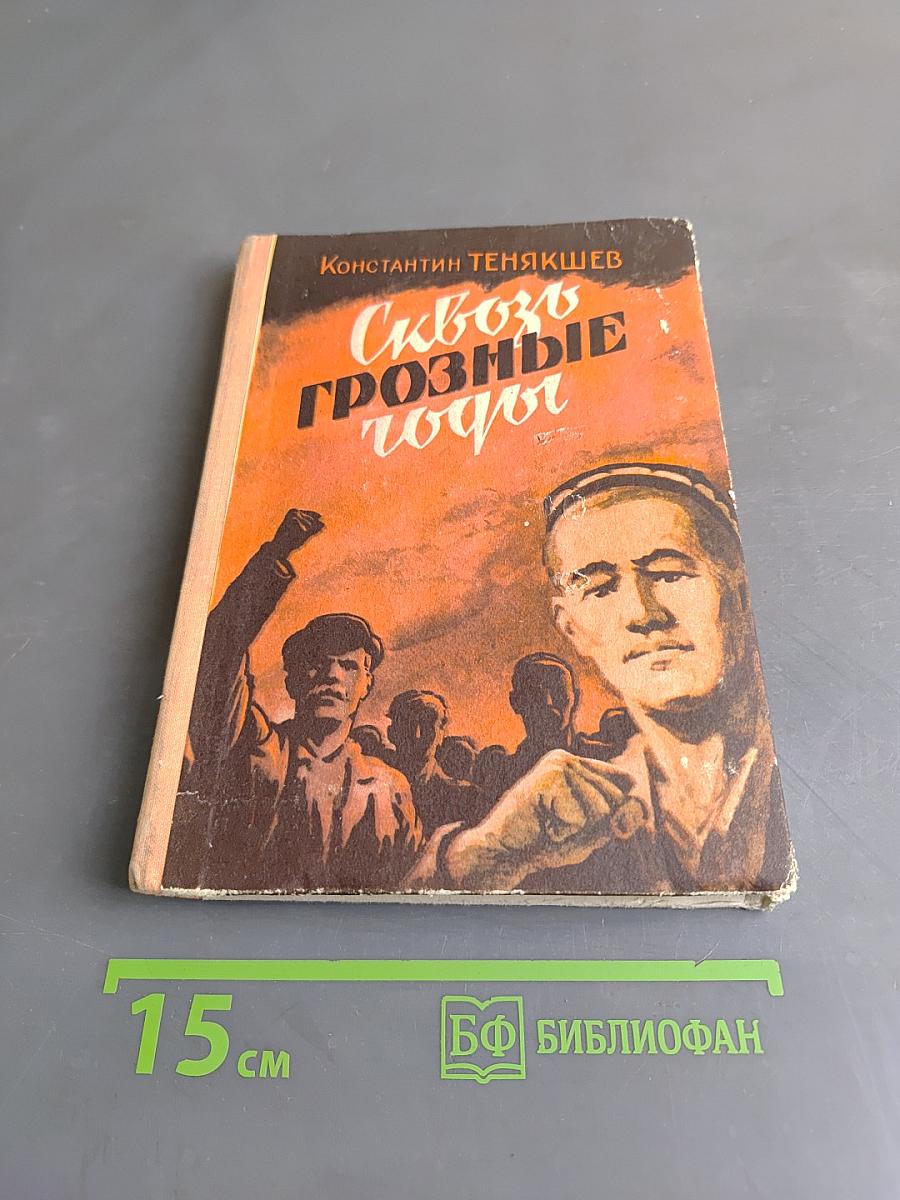 Сквозь грозные годы. Книга первая