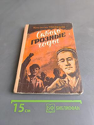 Сквозь грозные годы. Книга первая