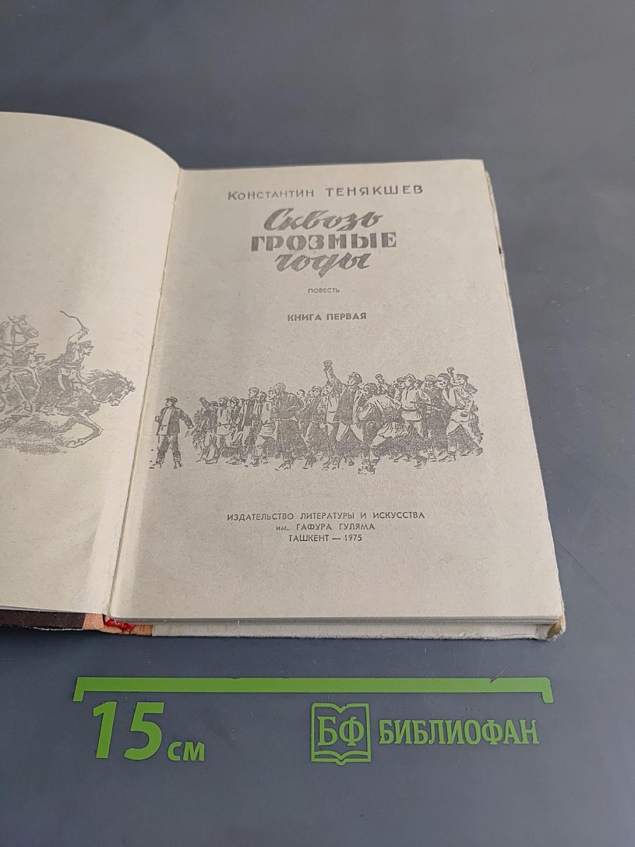 Сквозь грозные годы. Книга первая