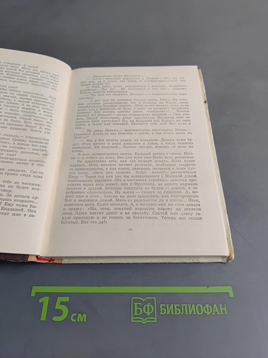 Сквозь грозные годы. Книга первая