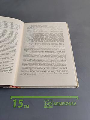 Сквозь грозные годы. Книга первая