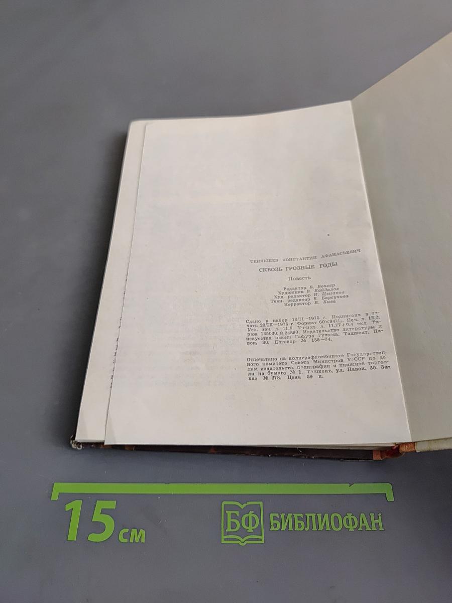 Сквозь грозные годы. Книга первая