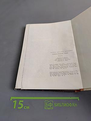 Сквозь грозные годы. Книга первая