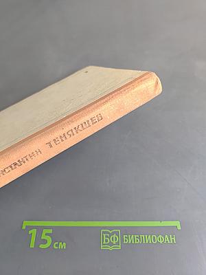 Сквозь грозные годы. Книга первая