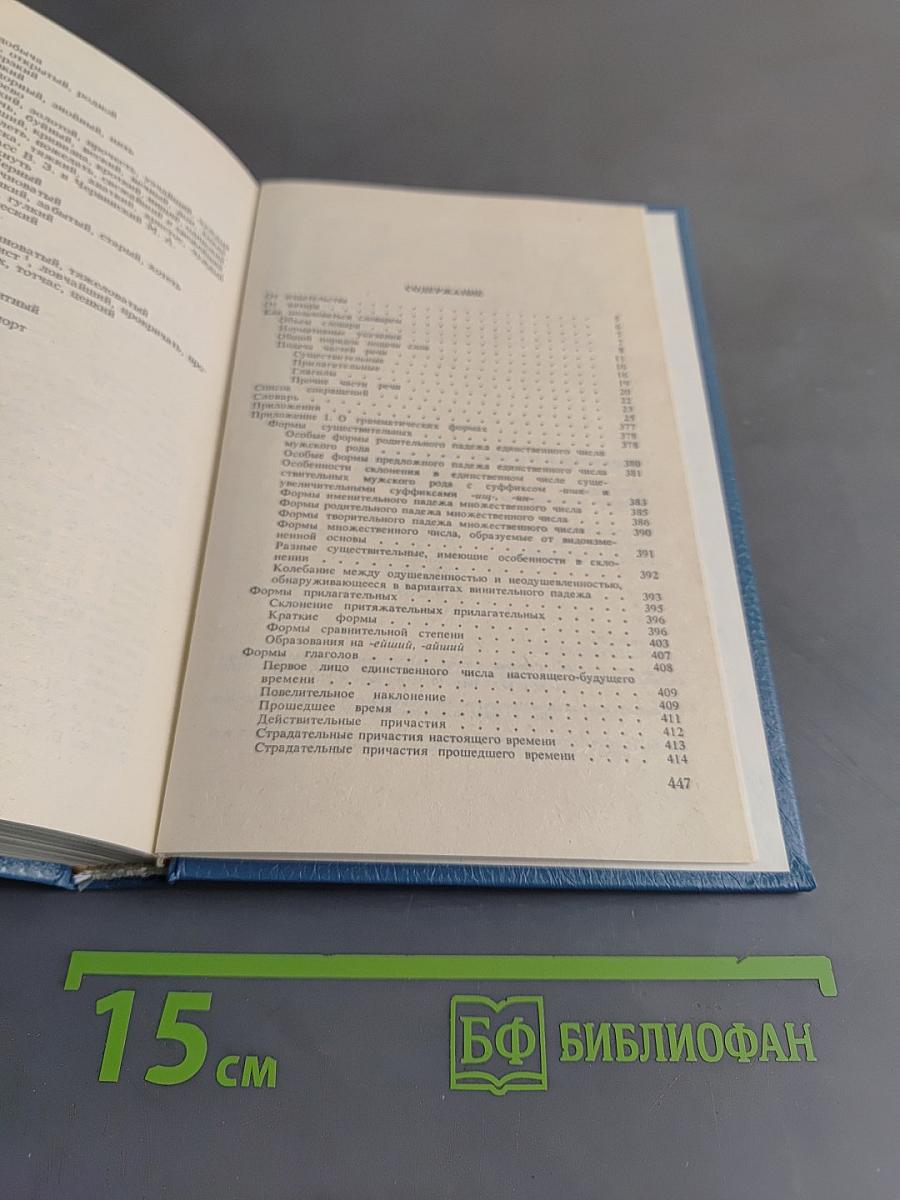 Краткий словарь трудностей русского языка: Грамматические формы. Ударение