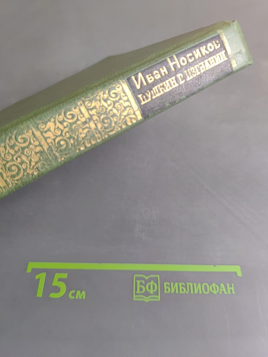 Пушкин в изгнании
