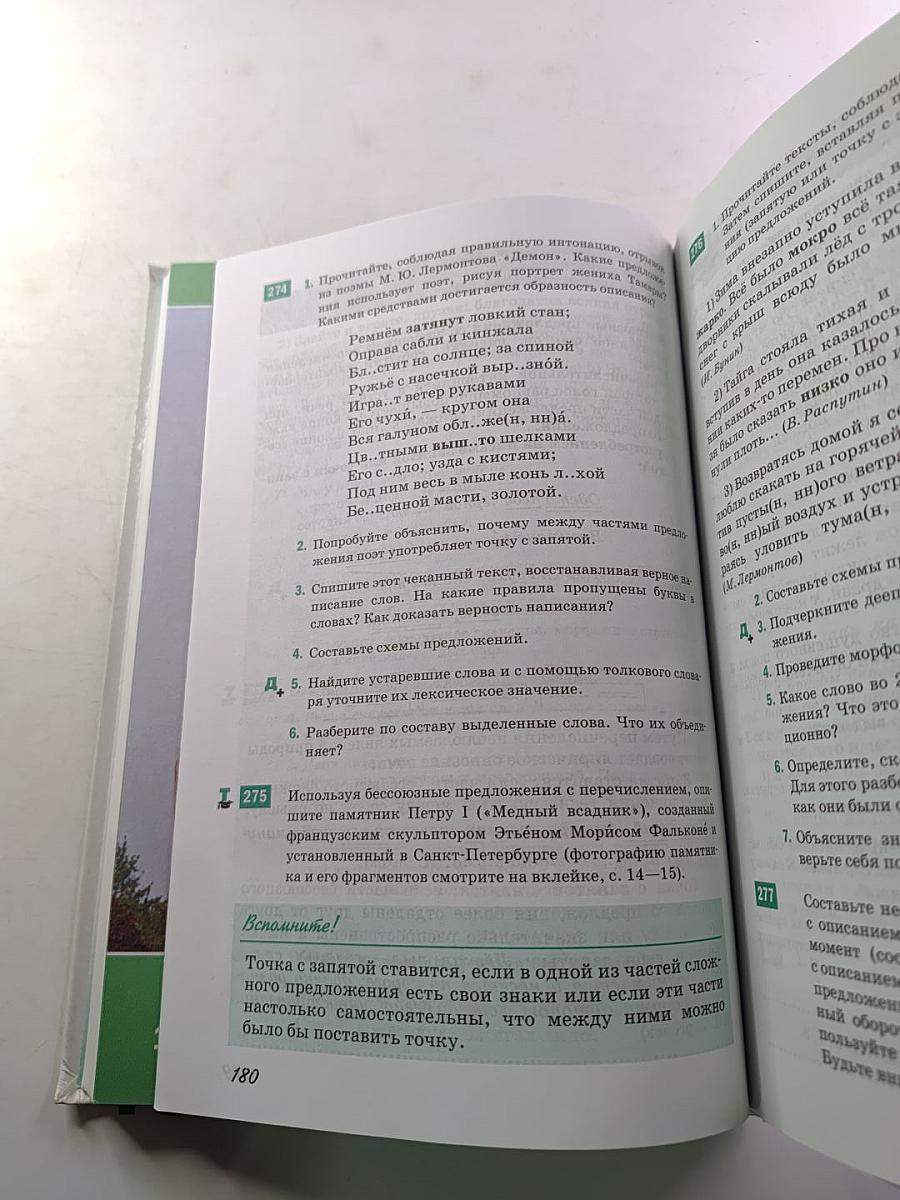 Русский язык. 9 класс