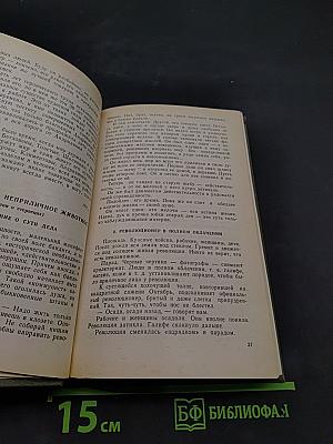 Возвращение