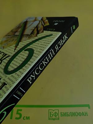 Русский язык. 9 класс