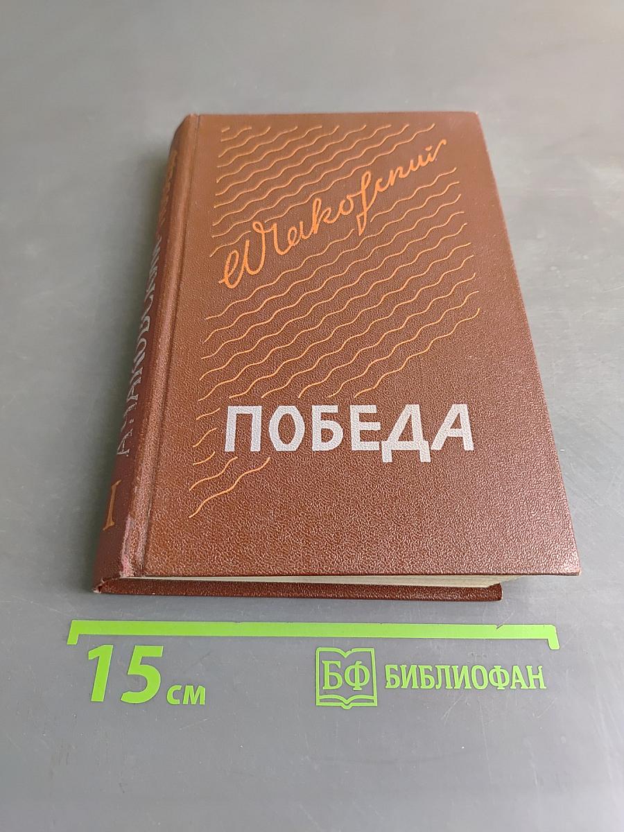 Победа. Книга первая. Политический роман