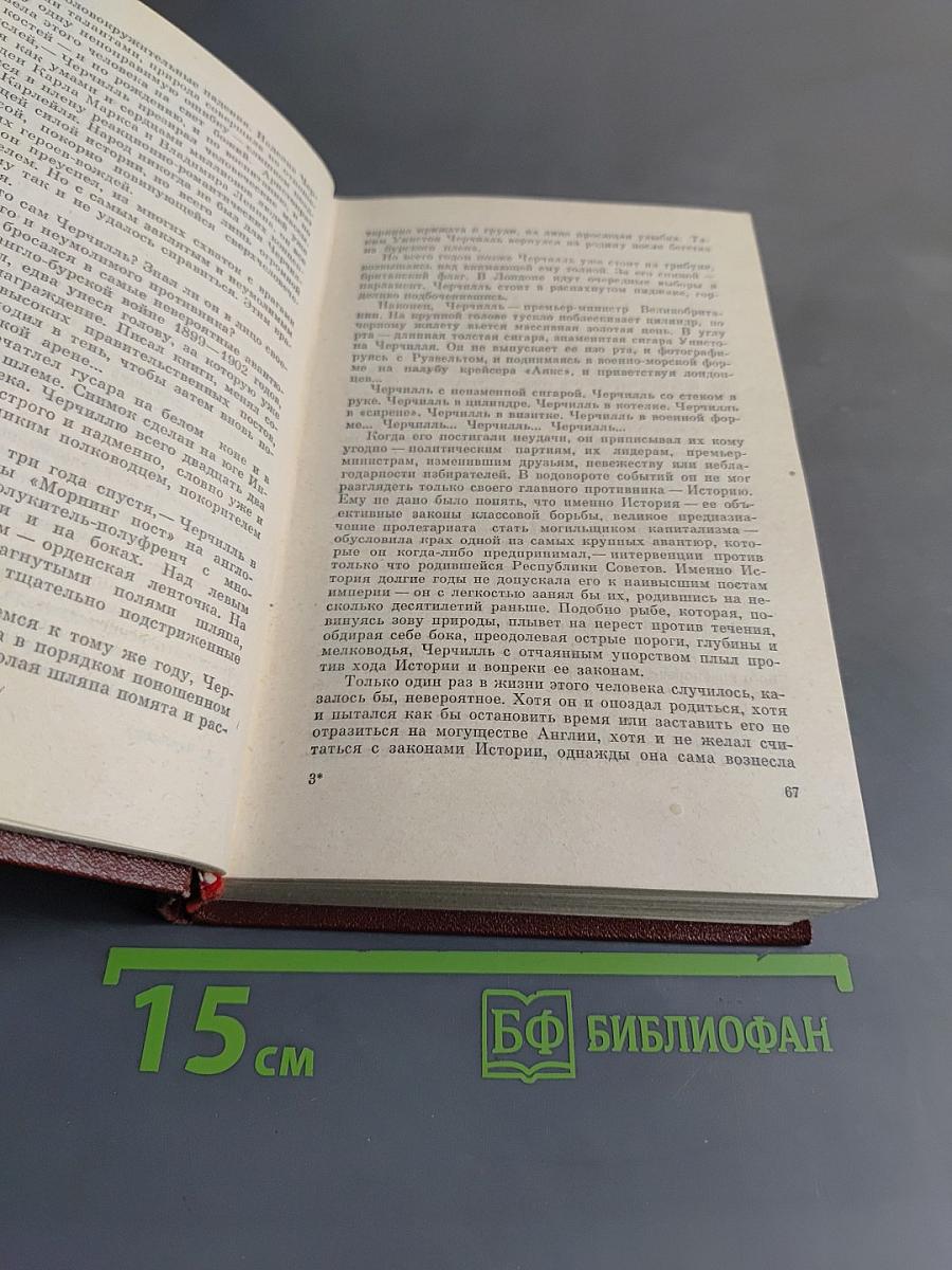 Победа. Книга первая. Политический роман