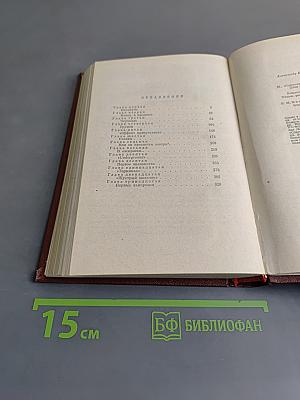 Победа. Книга первая. Политический роман