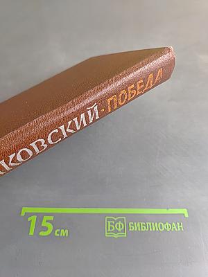 Победа. Книга первая. Политический роман