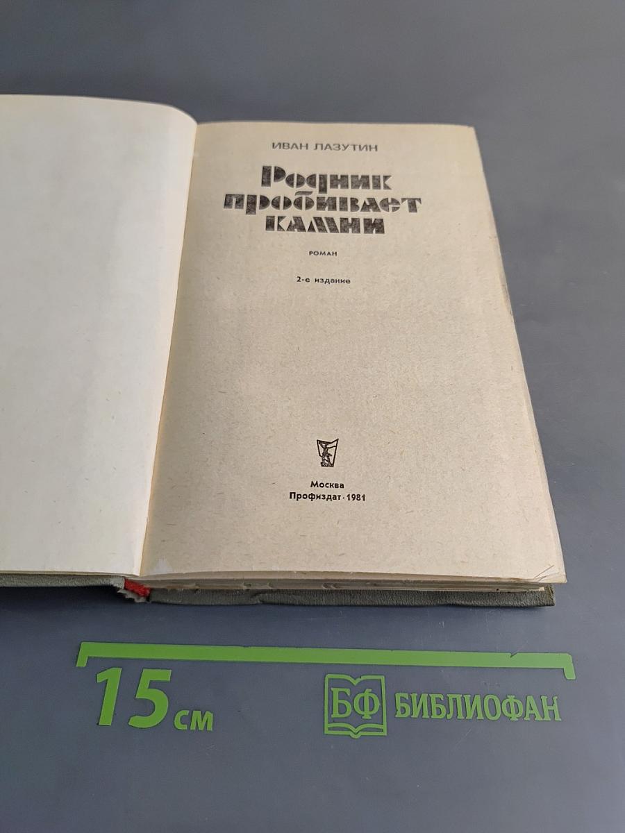 Родник пробивает камни