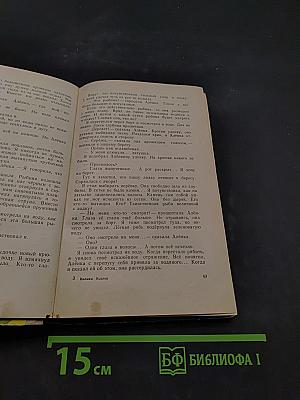 Президент Каменного острова