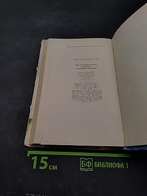 Президент Каменного острова