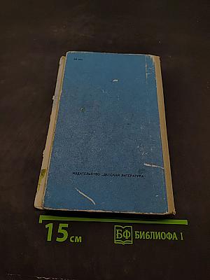 Президент Каменного острова