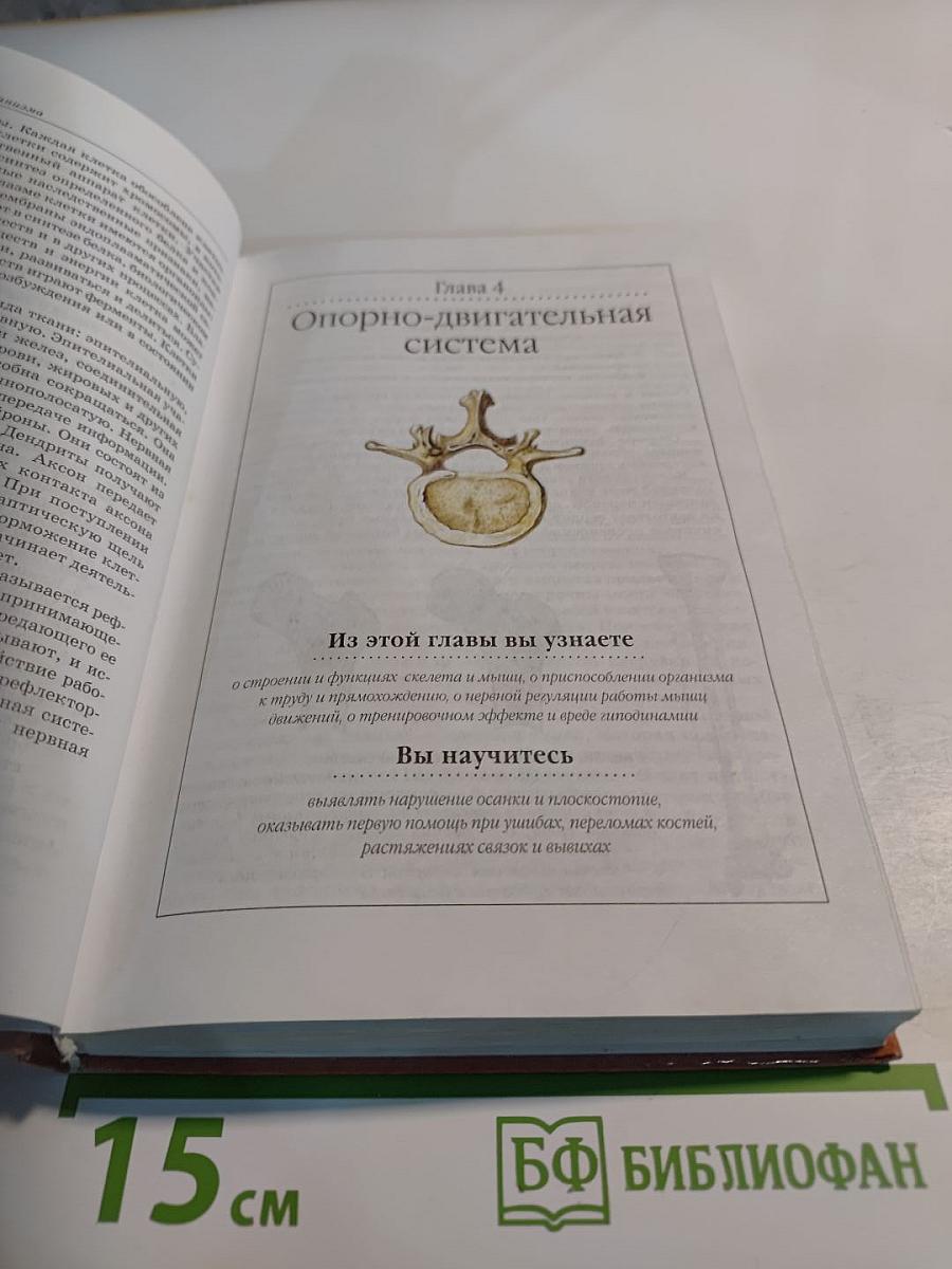 Биология. Человек. 8 класс