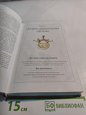 Биология. Человек. 8 класс