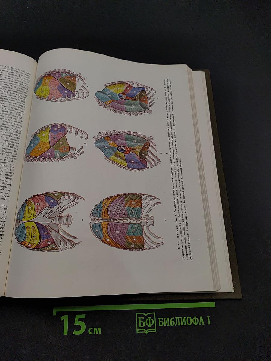 Большая медицинская энциклопедия. Том 12. Криохирургия - Ленегр