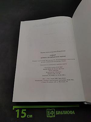 Собор. Роман о петербургском зодчем