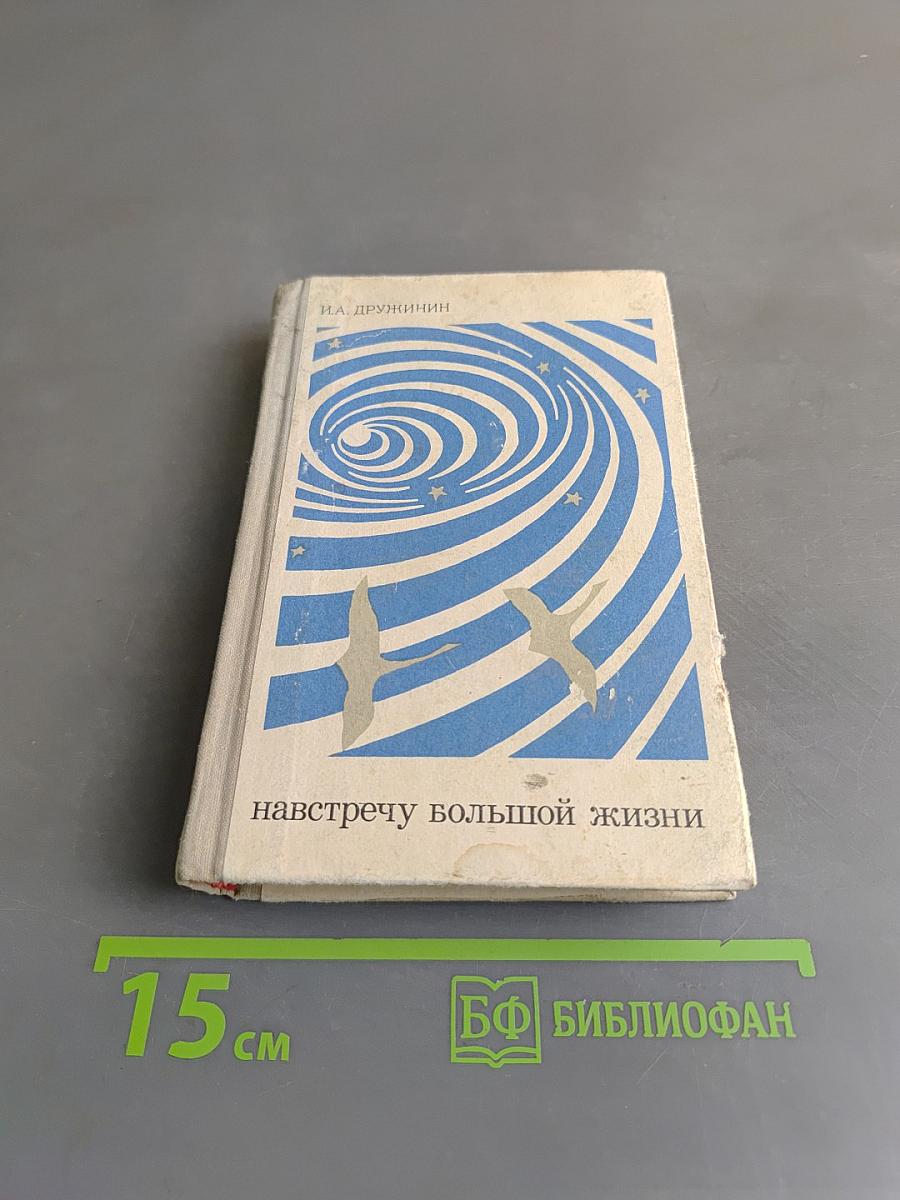 Навстречу большой жизни
