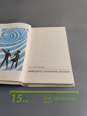 Навстречу большой жизни